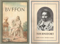 Buffon-Tournefort