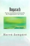 Bugarach_porte_multidimensionnelle-1