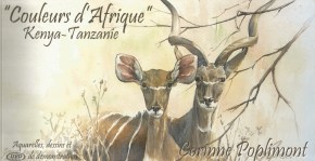 Couleurs_d_Afrique-1