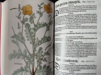 Nouvel-herbier-1543-3