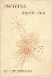 Provins_mysterieux_ses_souterrains