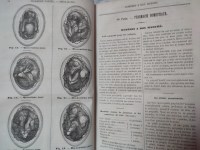 Sante_universelle_4ter