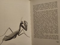 Souvenirs-d-un-entomologiste-2